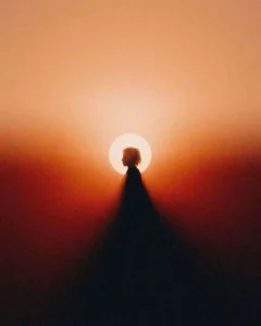 habits and neural circuits 3