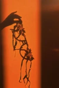 disfunzione erettile impotenza img 1